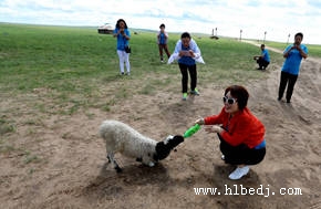 與大草(cǎo)原的動物(wù)親密接觸合影留念